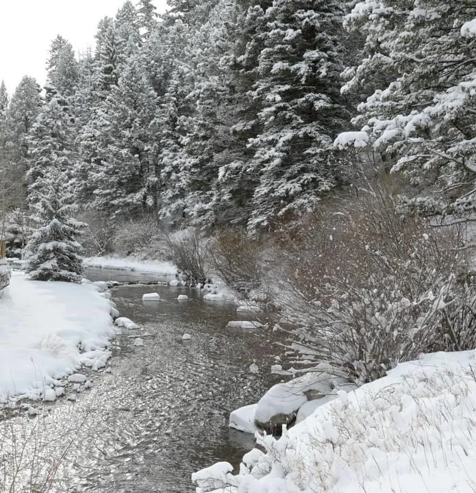 Red River in all its glory right out the back door. 